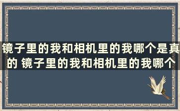 镜子里的我和相机里的我哪个是真的 镜子里的我和相机里的我哪个更好看